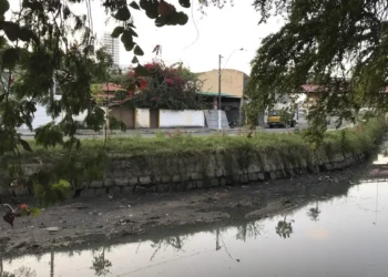 Falta de saneamento afeta 75% dos que ganham até um salário mínimo