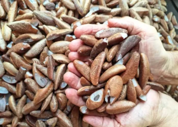 Comunidades tradicionais pedem ao governo e Congresso melhoria no Pnae