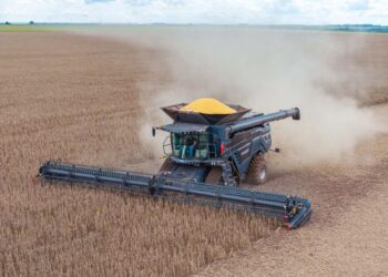 Pré-safra: falta de revisão na colheitadeira pode gerar prejuízo superior a R$ 500 mil por dia