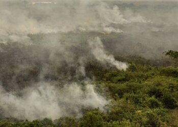 Força Nacional reforça equipe de combate a incêndios no Pantanal