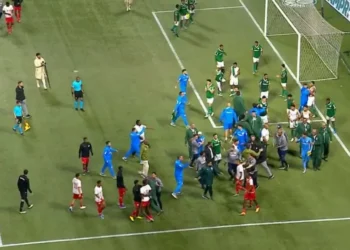 Confusão marca final do Brasileirão Sub-20 após título do Palmeiras no Allianz Parque