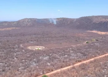 Nove estados registraram mais de 41 mil crimes ambientais em dois anos