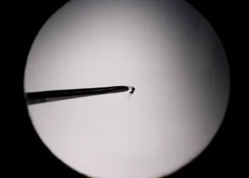 Startup propõe uso de drones para combater mosquito da dengue