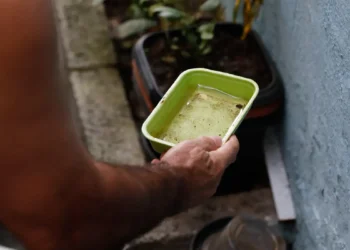 Dengue: Brasil tem 12 mortes e mais de 120 mil casos prováveis