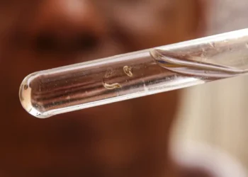 Brasil tem mais de um milhão de casos de dengue este ano