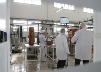 País receberá R$1,3 bi de fundos externos para descarbonizar indústria