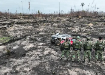 AGU cobra R$ 76 milhões de desmatadores em cinco biomas