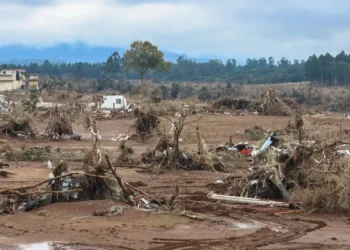 Corte Interamericana de Direitos Humanos enfatiza emergência climática