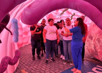 Estudantes da rede estadual participam de experiência imersiva para estudar o aparelho digestivo