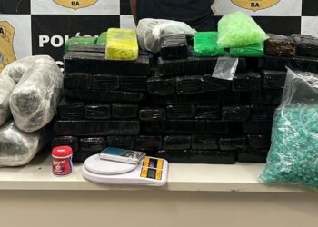 Polícia Civil desarticula ponto de distribuição de drogas na RMS e apreende 120 kg de entorpecentes