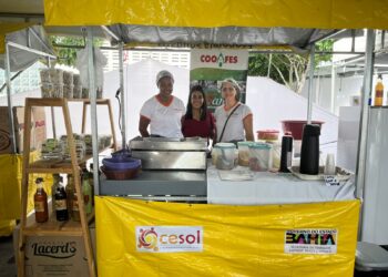 Mulheres apresentam criatividade e empoderamento na 1ª Feira “Espaço Delas”, em Valente