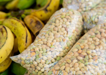 Sesau promove palestra sobre alimentação saudável e prevenção da obesidade