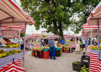 Em função do feriado, Sedap antecipa feirinha da prefeitura