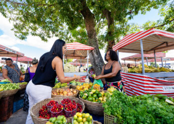 Sedap promove 1ª Feira Agroecológica da Casa do Trabalho