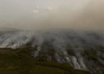 PL que muda Código Florestal vai desproteger 48 milhões de hectares
