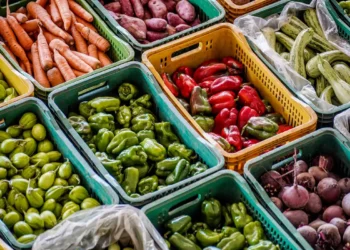 Lula comemora país fora do Mapa da Fome