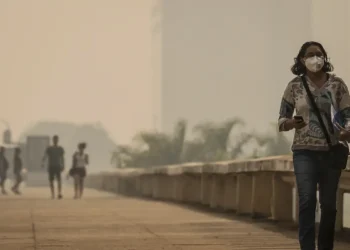 Brasília e outras capitais ficam encobertas por fumaça de queimadas