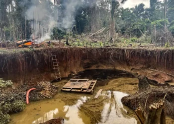 PF e ICMBio desativam garimpos ilegais no Pará