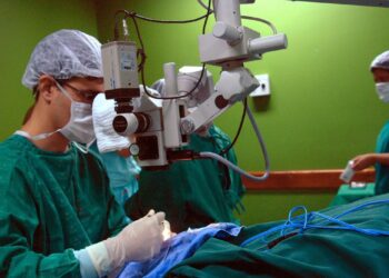 Decreto define medicina, direito e odonto como cursos presenciais