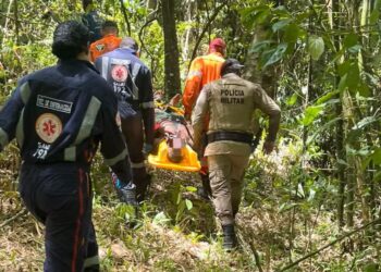 São Francisco do Conde: Idoso desaparecido há 30 dias é encontrado em área de mata
