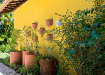 5 dicas para cultivar uma horta em espaços pequenos