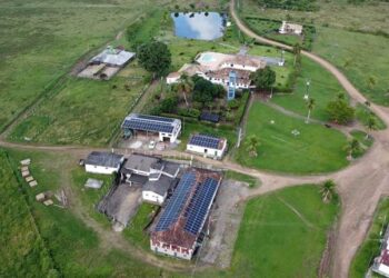 Energia Solar impulsiona agronegócio brasileiro e gera solução sustentável mais econômica