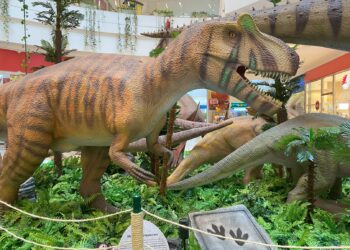 Mundo dos Dinossauros promove Encontro com Personagem Velociraptor nesse fim de semana