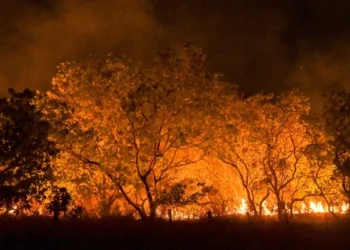 MPF abriu mais de 190 investigações sobre queimadas em um ano