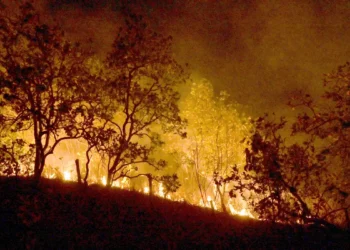 Incêndios: governo vai concentrar ações em 21 municípios da Amazônia