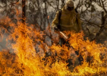 Entenda as linhas de investigação dos incêndios florestais no país