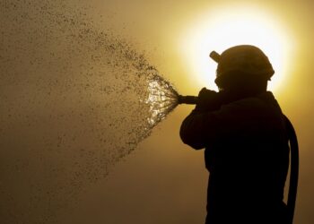 STF determina plano de combate a incêndios no Pantanal e na Amazônia