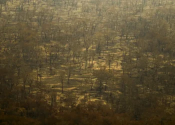 Incêndios e seca na Amazônia e no Pantanal batem marcas históricas