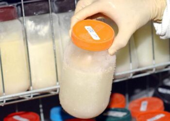 Campanha incentiva doação de leite materno para recém-nascidos