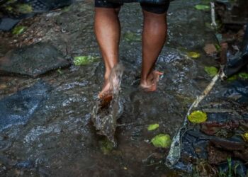 Número de mortes por leptospirose chega a 15 no Rio Grande do Sul