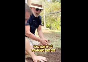 Tarifaço: Em vídeo a Trump, Lula planta uva e diz semear comida e não ódio