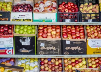 Em Paris, autoridades pedem investimentos globais no combate à fome