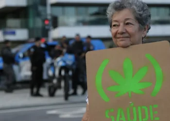 Anvisa defende manutenção de marco regulatório para cannabis medicinal