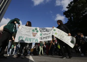 Lula diz que ciência deve decidir sobre uso de maconha