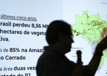 Brasil já perdeu 33% das áreas naturais de seu território