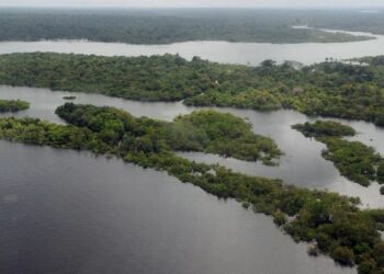 Menos de 10% dos municípios convocaram conferências do meio ambiente
