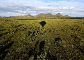 Brasil não trata meio ambiente com seriedade, diz promotor
