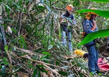 Caraguatatuba: homem morre após queda de asa-delta