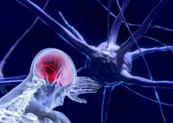 Neurotecnologia permitirá alterar funcionamento mental, diz cientista