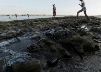 Estrangeiros atrasam investigação sobre óleo no litoral do Nordeste