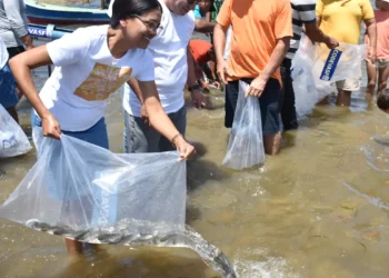Mutirão solta 150 mil peixes em municípios do Sergipe no fim de semana