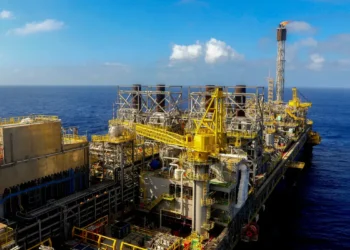 Petrobras busca proteger a fauna e flora na margem equatorial