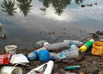 Brasil lança por ano 1,3 milhão de toneladas de plástico no oceano