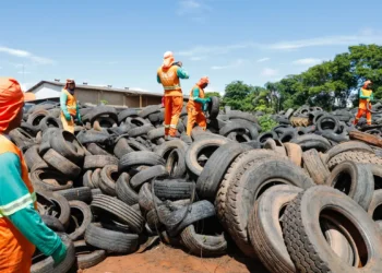 Brasil pode registrar até 4,2 milhões de casos de dengue em 2024