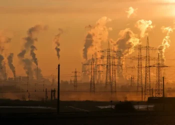 ONU confirma 2024 como o ano mais quente em 175 anos