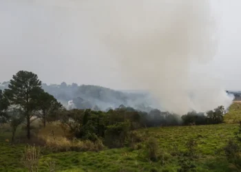 Em SP, multas por queimadas chegam a R$ 25 milhões neste ano